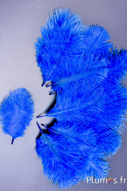 Struisvogel Bellies -8-13 cm - blauw 